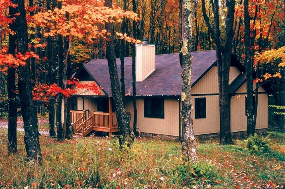 Canaan Valley Resort State Park Davis Zewnętrze zdjęcie