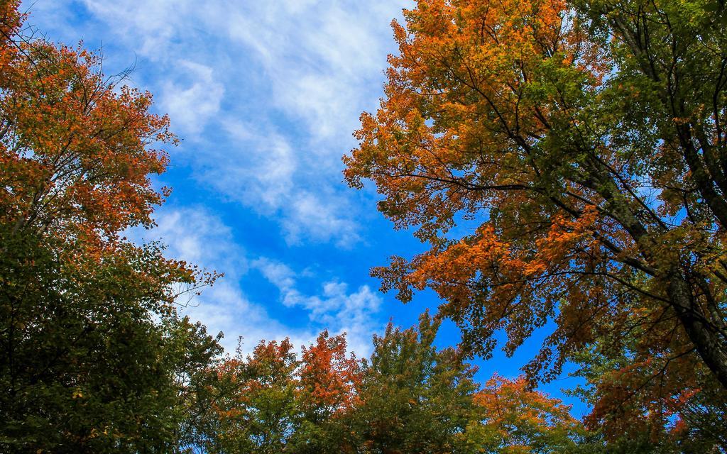 Canaan Valley Resort State Park Davis Zewnętrze zdjęcie