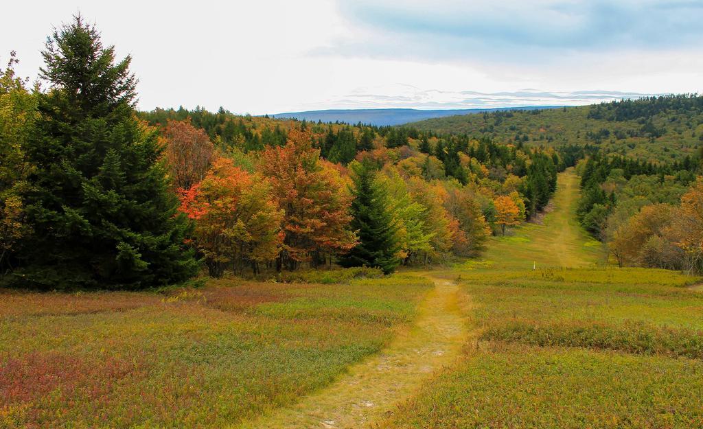 Canaan Valley Resort State Park Davis Zewnętrze zdjęcie