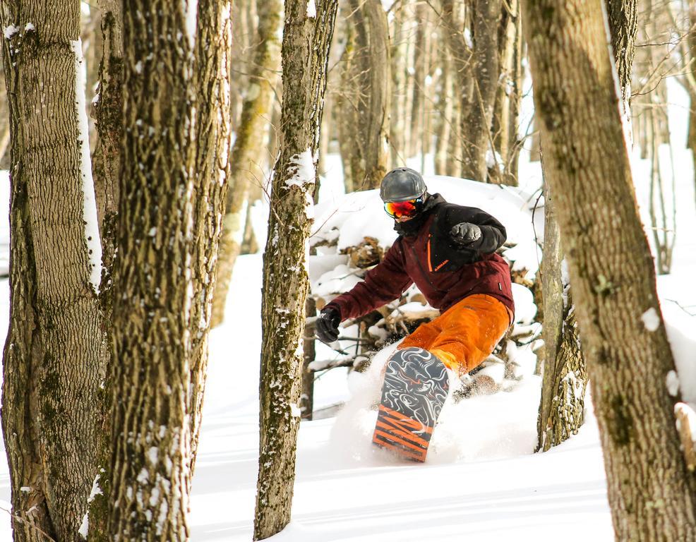 Canaan Valley Resort State Park Davis Zewnętrze zdjęcie