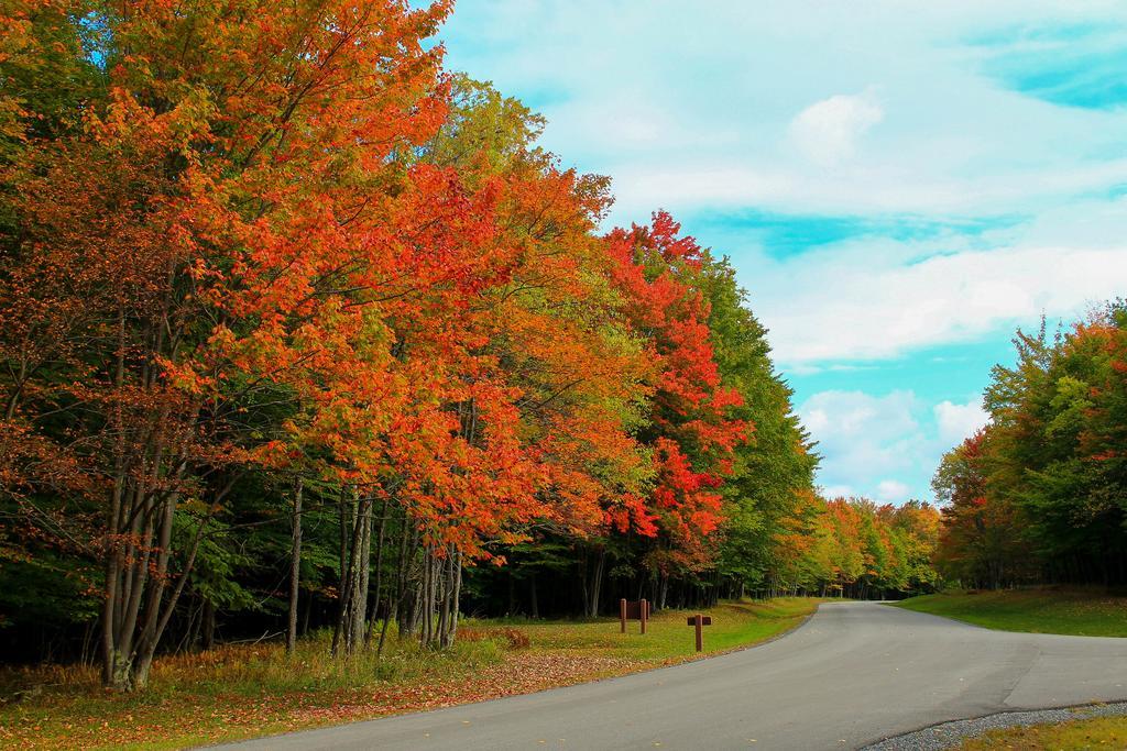 Canaan Valley Resort State Park Davis Zewnętrze zdjęcie