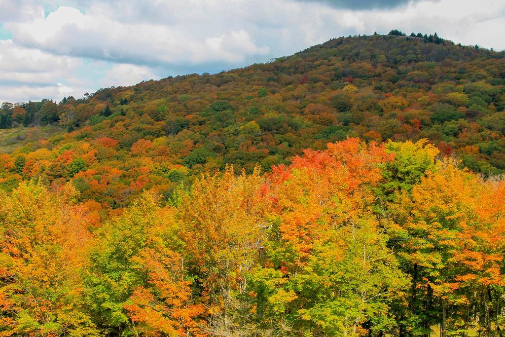 Canaan Valley Resort State Park Davis Zewnętrze zdjęcie