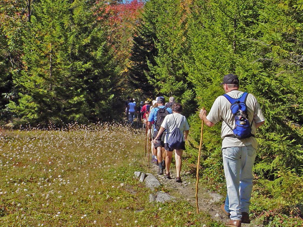 Canaan Valley Resort State Park Davis Zewnętrze zdjęcie